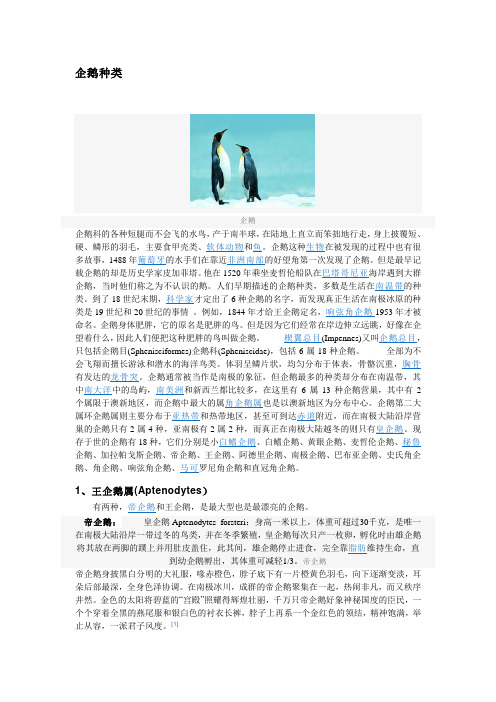 企鹅分类1