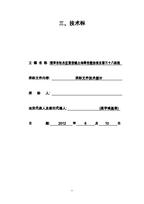 土地综合整治项目施工组织设计