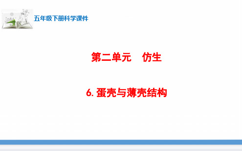 新苏教版科学五年级下册6.蛋壳与薄壳结构 课件