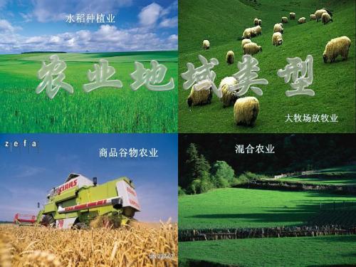 农业地域类型(高三一轮复习)