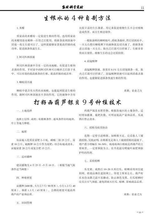 生根水的4种自制方法