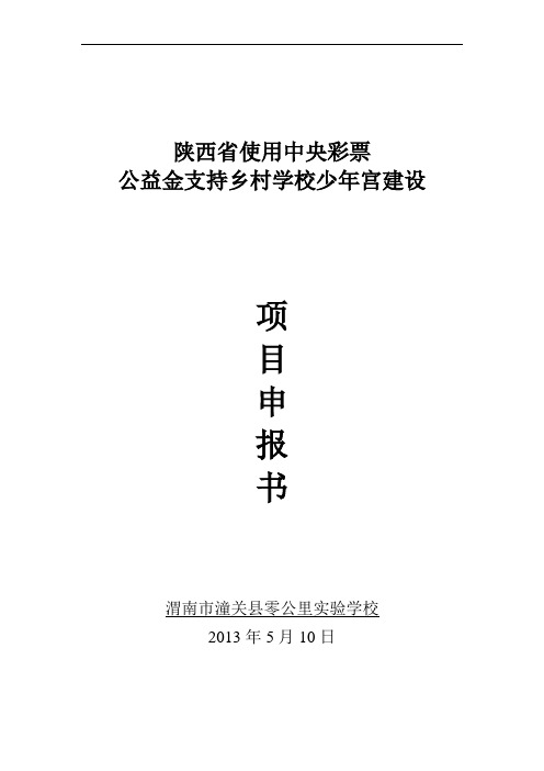 乡村学校少年宫建设项目申报书
