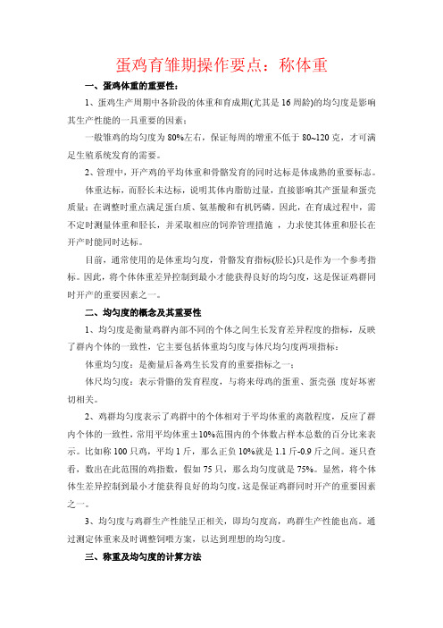 蛋鸡育雏期操作要点：称体重