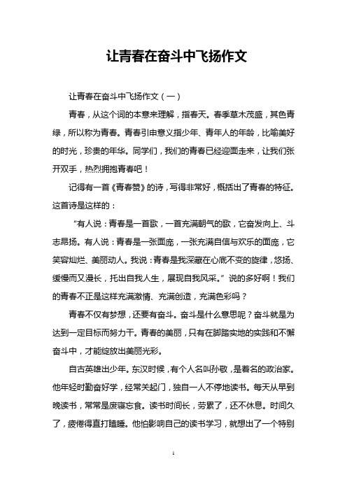 让青春在奋斗中飞扬作文