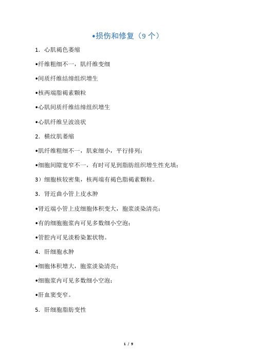 _镜下病理切片 