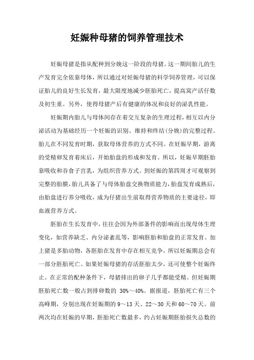 妊娠种母猪饲养管理技术