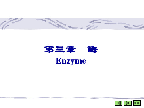 生物化学与分子生物学：chap03 酶 2