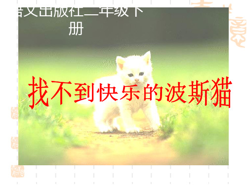第11课找不到快乐的波斯猫课件 语文S版_小学二年级 