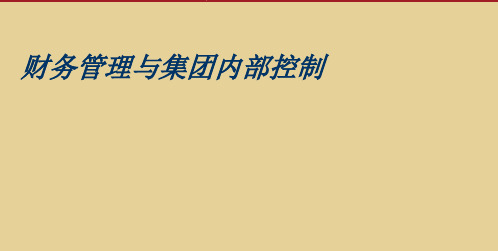 财务管理与集团内部控制(普华永道)