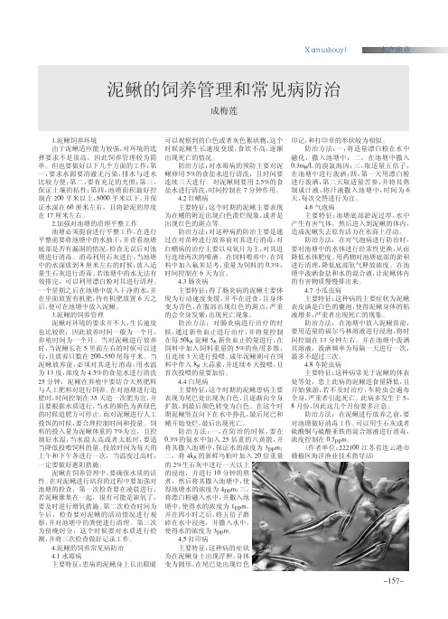 泥鳅的饲养管理和常见病防治