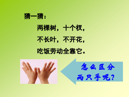 一年级下册数学课件-5.1   左与右  ▏沪教版 (共15张PPT) (2)
