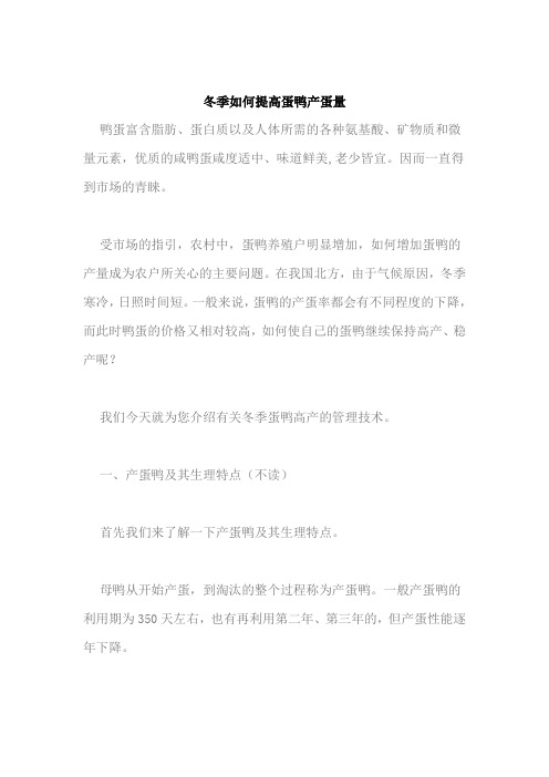 冬季如何提高蛋鸭产蛋量