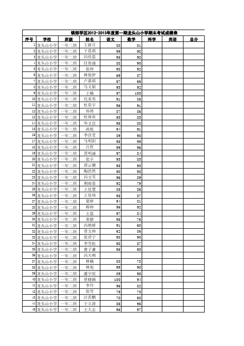 期末成绩表2013.1.2