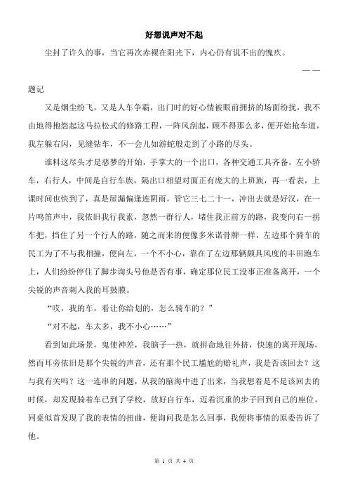 初中作文初中满分作文范文 好想说声对不起