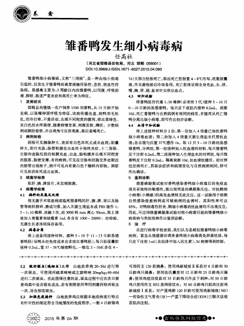 雏番鸭发生细小病毒病