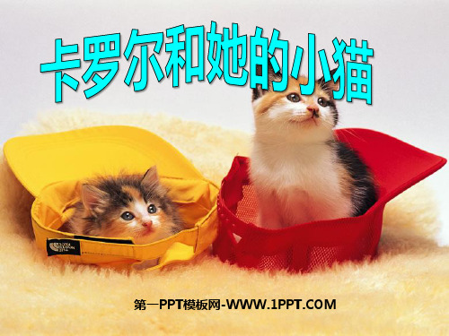 卡罗尔和她的小猫PPT课件