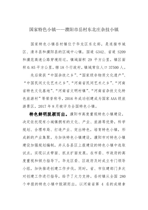 国家特色小镇岳村杂技小镇介绍