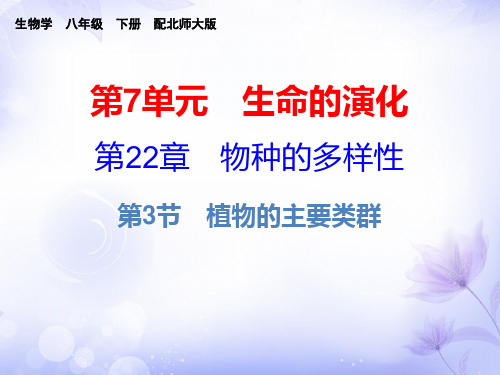 生物八年级下北师大版22.3植物的主要类群课件(15张)