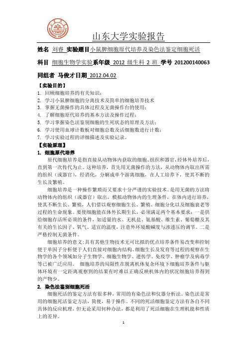 小鼠脾细胞原代培养及染色法鉴定细胞死活