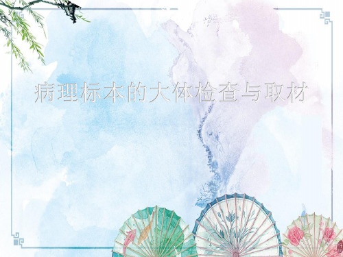 病理标本取材(一)