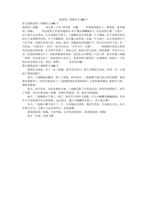 我家的三角梅作文400字