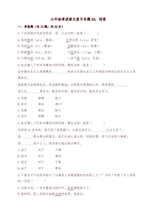 六年级下册语文试题-备考小升初考试语文复习专题03词语通用版含解析-精品