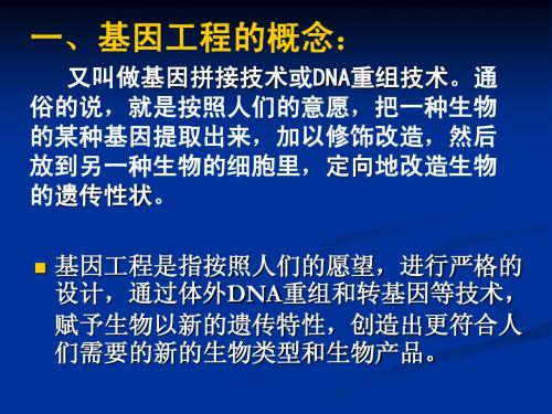 1.2_基因工程的基本操作程序讲稿