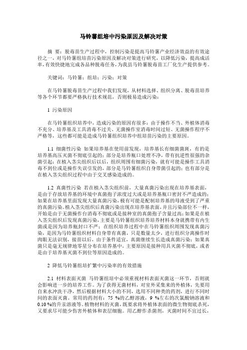 马铃薯组培中污染原因及解决对策
