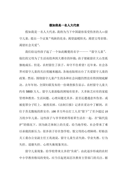 假如我是一名人大代表