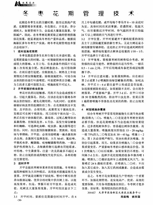 冬枣花期管理技术