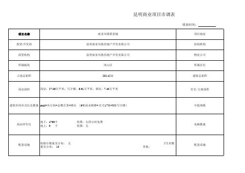 昆明南亚第一城商业市调表