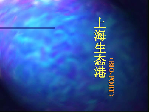 崇明上海生态港