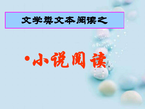 高考复习文学类文本阅读之小说阅读ppt3
