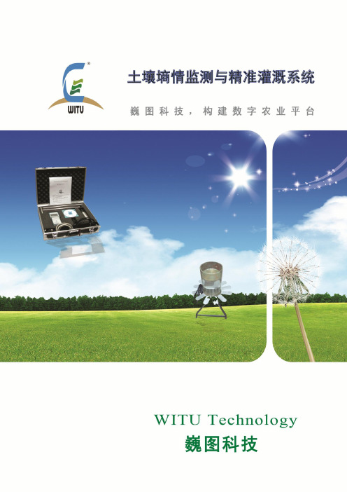 土壤墒情监测与精准灌溉系统