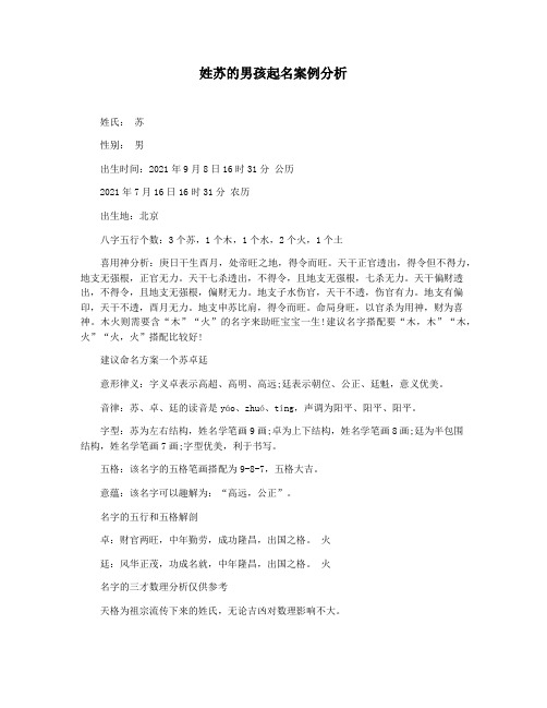 姓苏的男孩起名案例分析