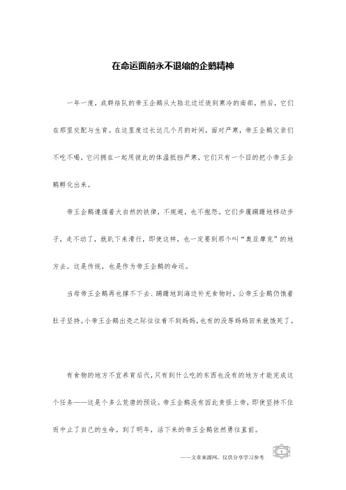 在命运面前永不退缩的企鹅精神