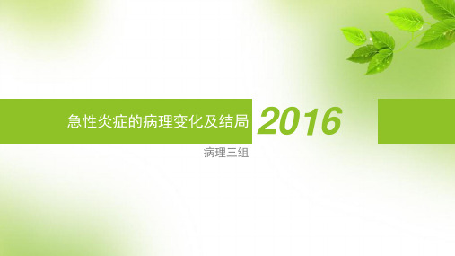 急性炎症的病理变化及结局