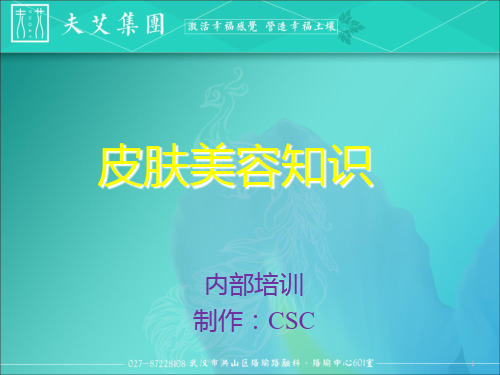 皮肤美容知识PPT课件