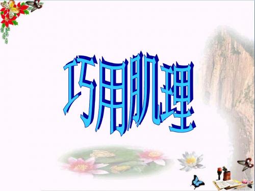 六年级美术上册巧用肌理 PPT精品课件1湘教版