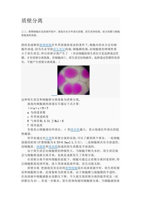 质壁分离