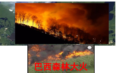 高二地理选修六：主要生态问题——以森林资源破坏、保护为例(精心制作)