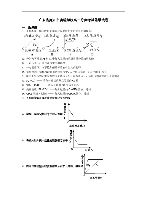 广东省廉江市实验学校高一分班考试化学试卷