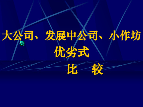 大公司、发展中公司、小作坊优劣势比较