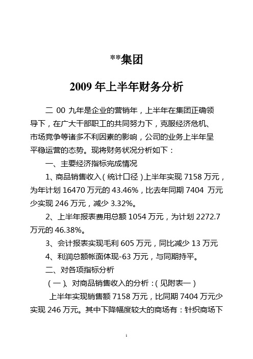 2009上半年财务分析
