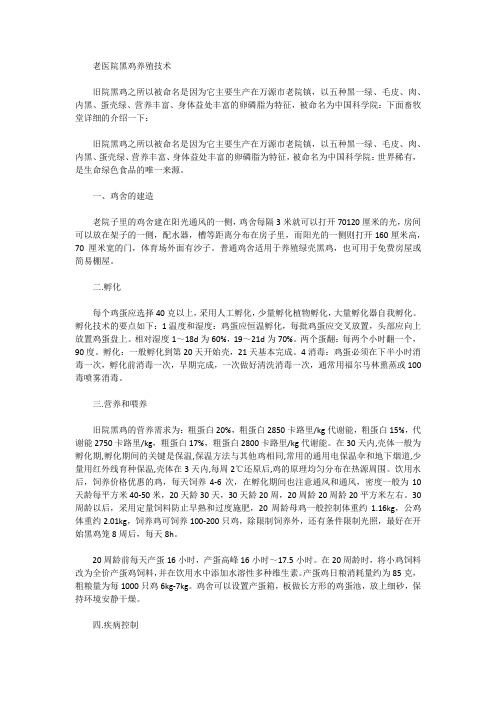 旧院黑鸡的饲养技术大全