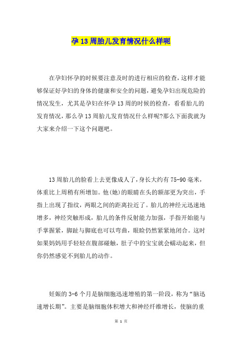 孕13周胎儿发育情况什么样呢