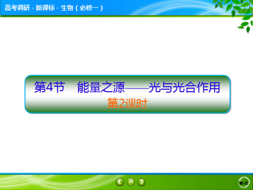 高考调研精讲精练人教必修1生物5-4-2