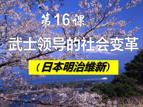 初中九年级北师大版第16课 武士领导的社会变革