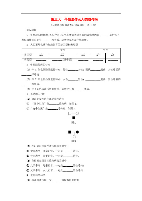 高中生物暑假作业第三天伴性遗传及人类遗传病