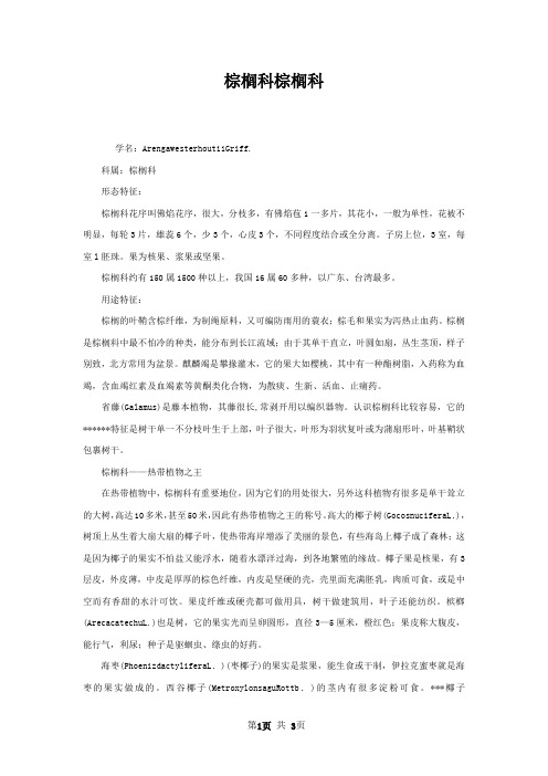 棕榈科棕榈科